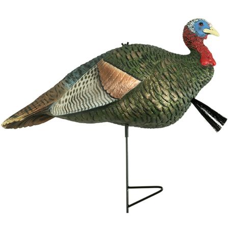 https://www.hunting-firearms.com/wp-content/uploads/A0007/bomgaarscom/sftp_a_s_assets20241001000000290.jpg