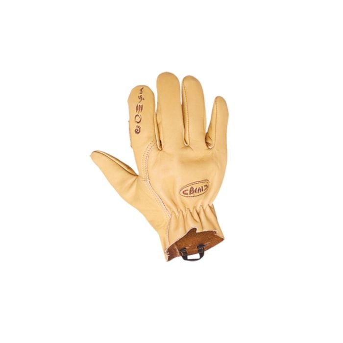 https://www.hunting-firearms.com/wp-content/uploads/A0007/futuramacoza/beal_assure_max_glove_1_1_1.jpg