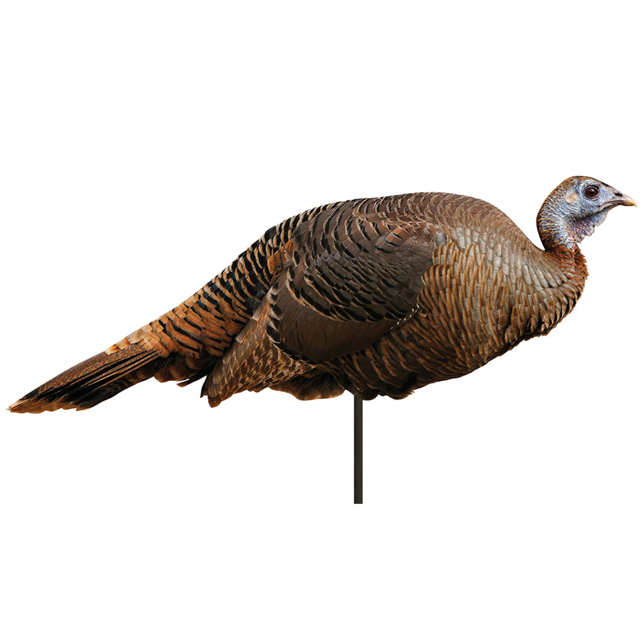 https://www.hunting-firearms.com/wp-content/uploads/A0007/nexgenofcom/100031__87858.1683591171.jpg