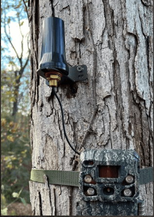 https://www.hunting-firearms.com/wp-content/uploads/A0007/opticsforcecom/1Browning_Trail_Camera_1600x.png